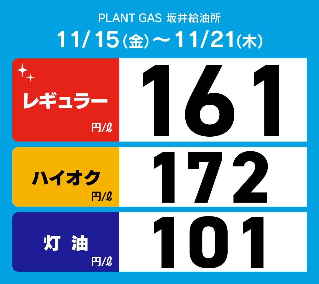 06坂井_通常価格20241115.png