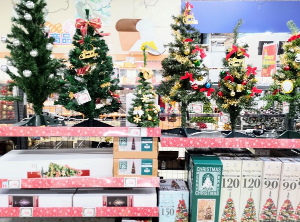 プラント☆クリスマスフェア☆』｜ブログ｜聖籠店｜PLANT公式サイト
