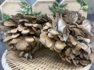 image5.jpeg