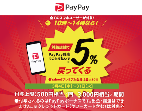 paypay_HP用_メイン画像.png