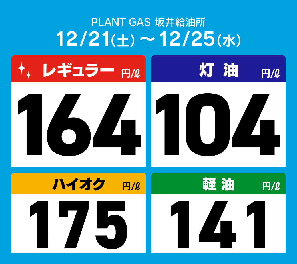 06坂井_通常価格20241221.png