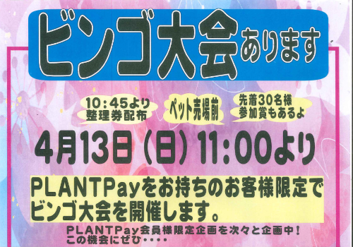 ビンゴ大会.png