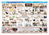 250808表B4-清水-PLANT.jpg