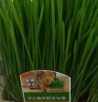 6e2727ae-18e0-4fc5-8d3b-c9c5883248a7.jpeg