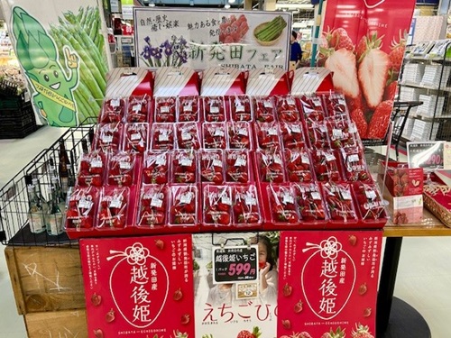 新発田フェア表.jpg