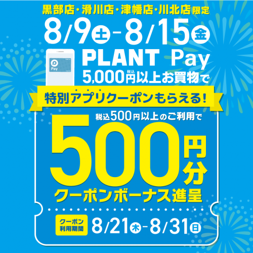 Mr.PLANT様 リクエスト 2点 まとめ商品 M様 リクエスト 2点 まとめ商品 - メルカリ