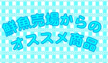 鮮魚売場ブログメイン画像.jpg