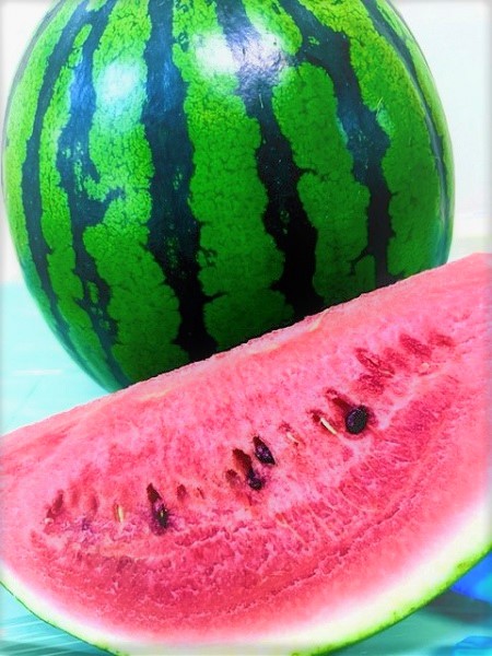 青果　スイカ.jpg