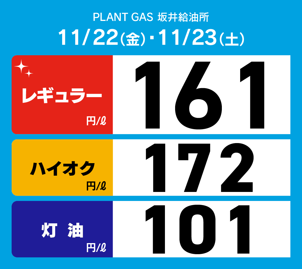 06坂井_通常価格20241122.png