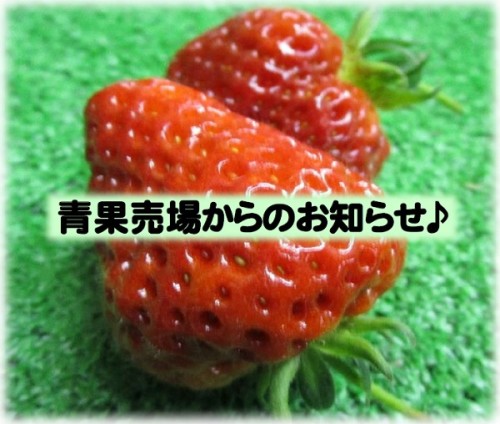 青果ブログタイトル画像（加工済）.jpg
