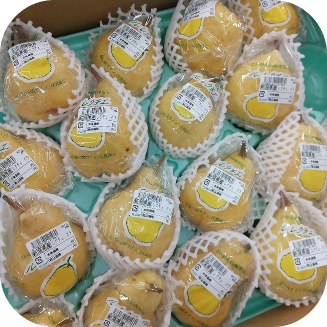 新潟が誇る幻のフルーツ！『ル・レクチェ』入荷しております！｜ブログ