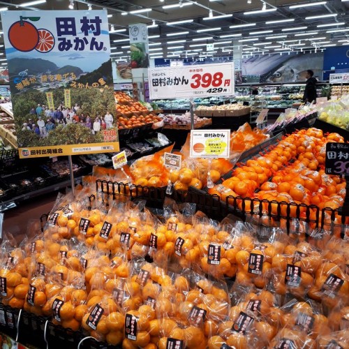 田村みかん1.jpg