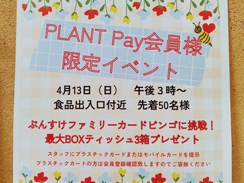 4月Pay7.jpg