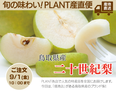 聖籠店｜SUPER CENTER PLANT