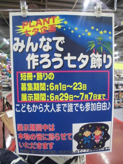 みんなで作ろう七夕飾り ブログ 川北店 Super Center Plant