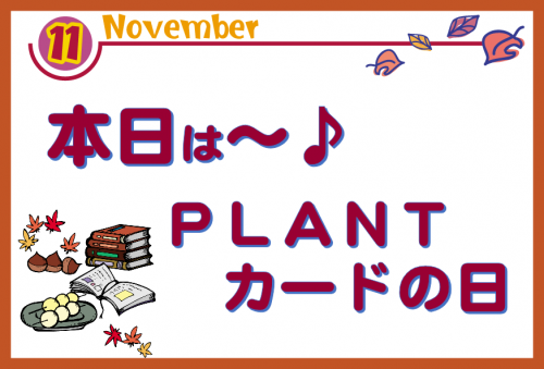 11.png