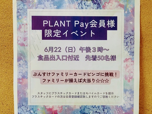 2025.6月Pay5.jpg