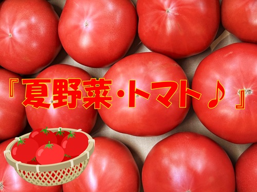 青果タイトル.jpg
