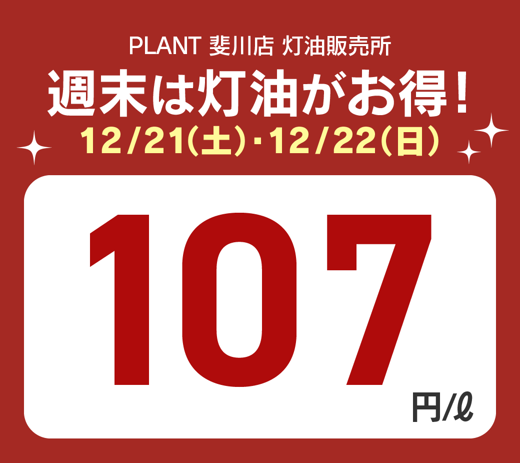 25斐川_特別価格20241221.png