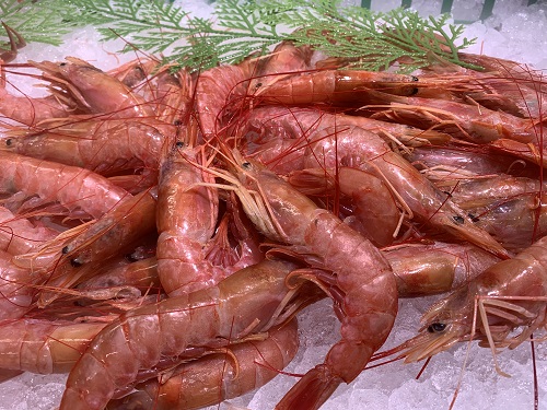 鮮魚 (2).JPG