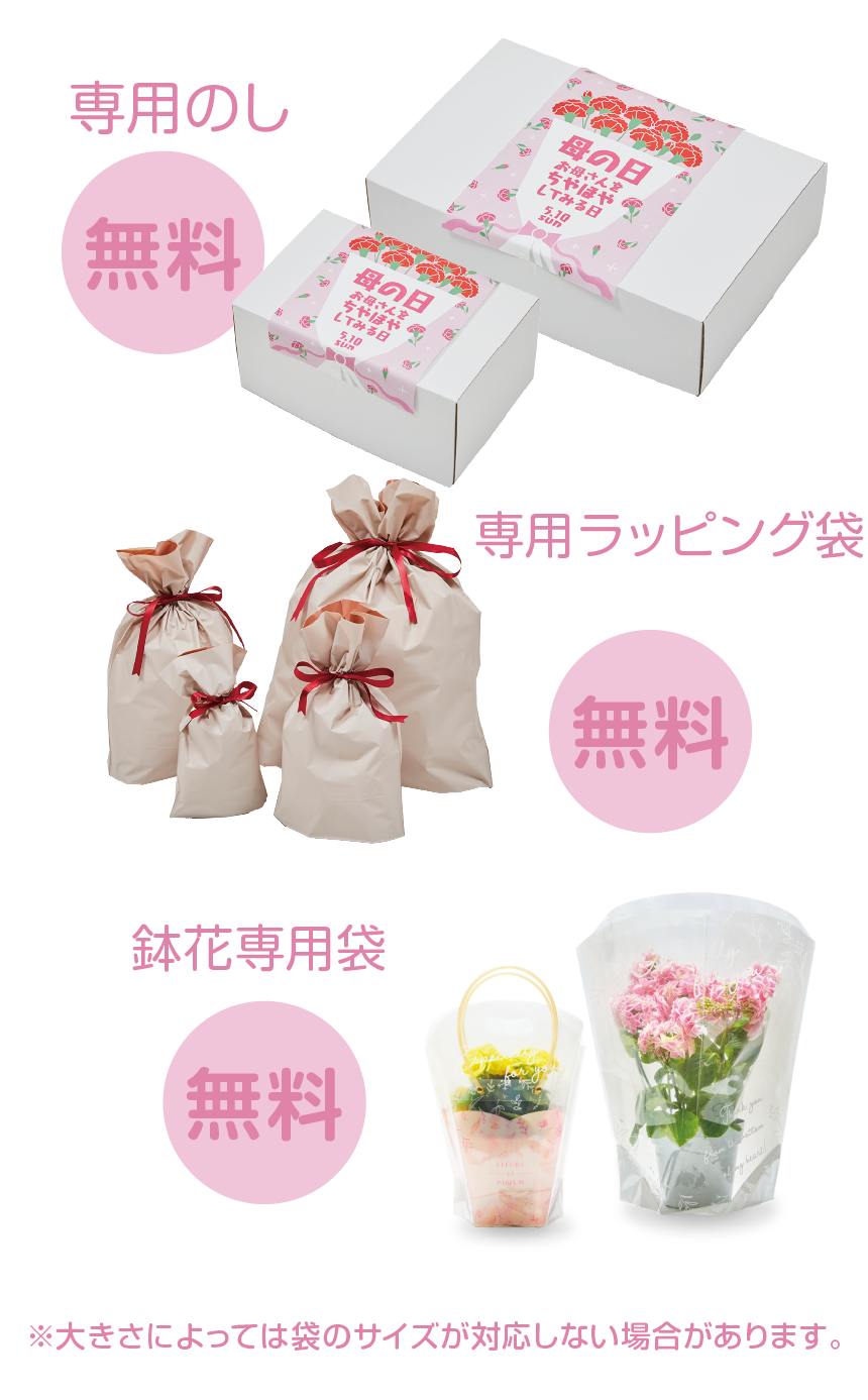 PLANTの母の日フェア｜ブログ｜斐川店｜PLANT公式サイト（スーパー