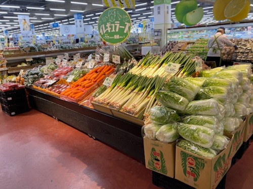 image3 (14).jpeg