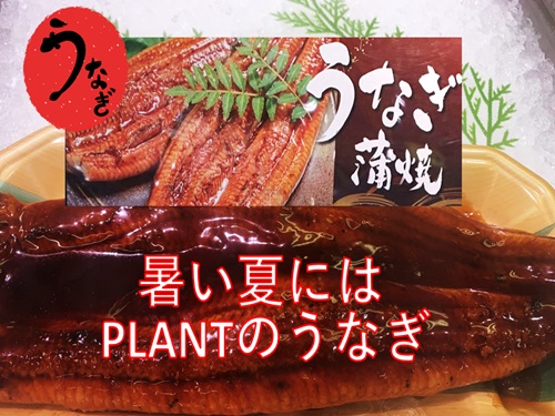 鮮魚 タイトル.jpg